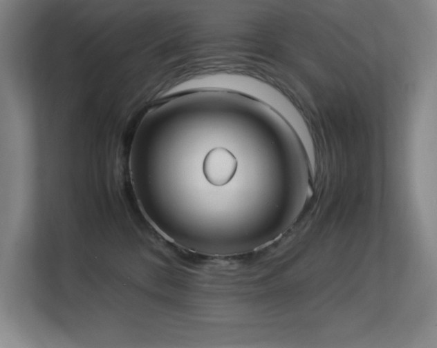 X0000113210328200909101137