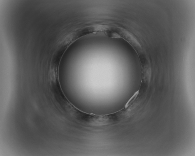 X0000113210329200909101137