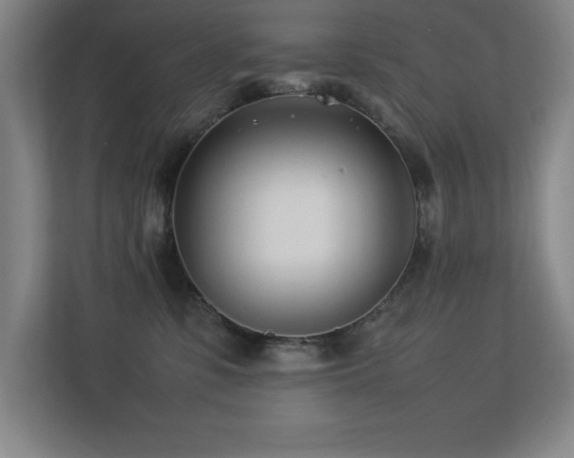 X0000113210331200909101137