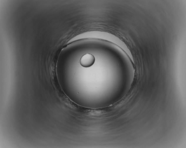 X0000113210332200909101137