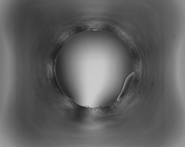 X0000113210333200909101137