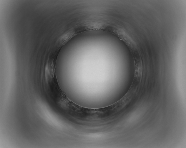 X0000113210334200909101137