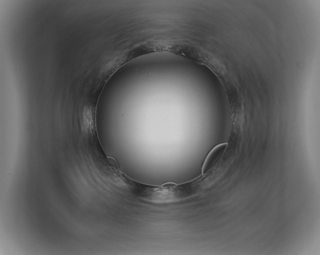 X0000113210335200909101137