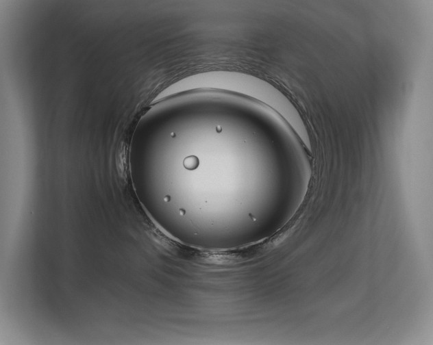 X0000113210336200909101137