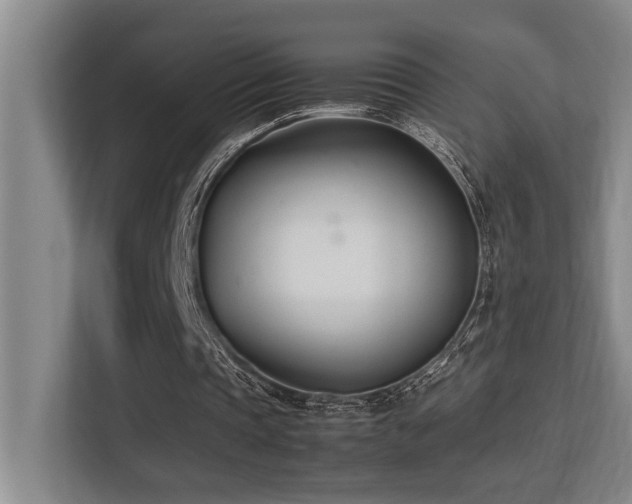 X0000113210337200909101136