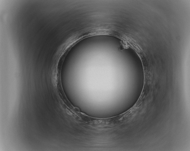 X0000113210338200909101136