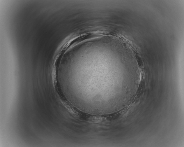 X0000113210339200909101136