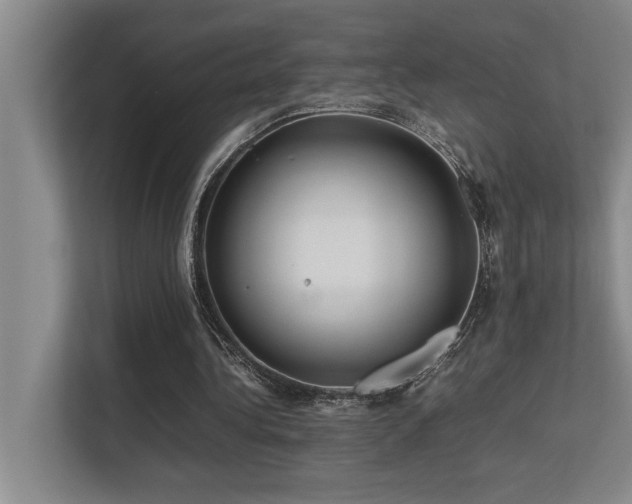 X0000113210340200909101136