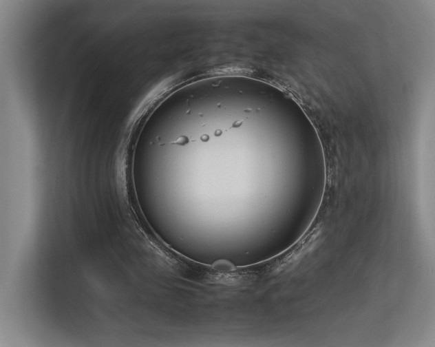 X0000113210341200909101136