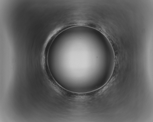 X0000113210342200909101136