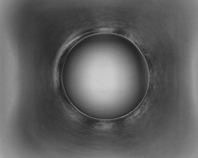 X0000113210343200909101136