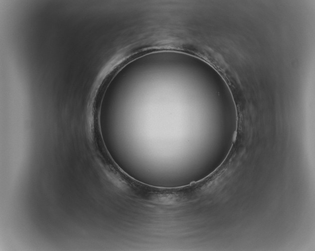 X0000113210344200909101136