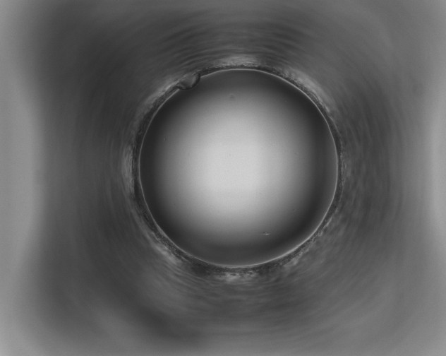 X0000113210345200909101136