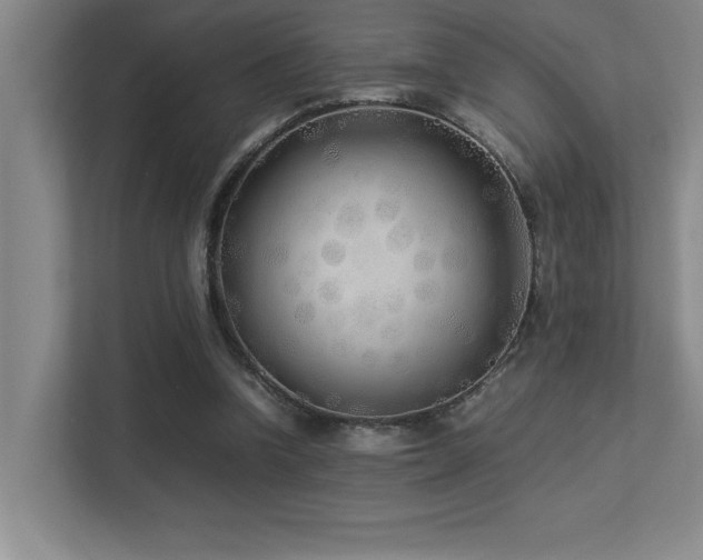 X0000113210346200909101136