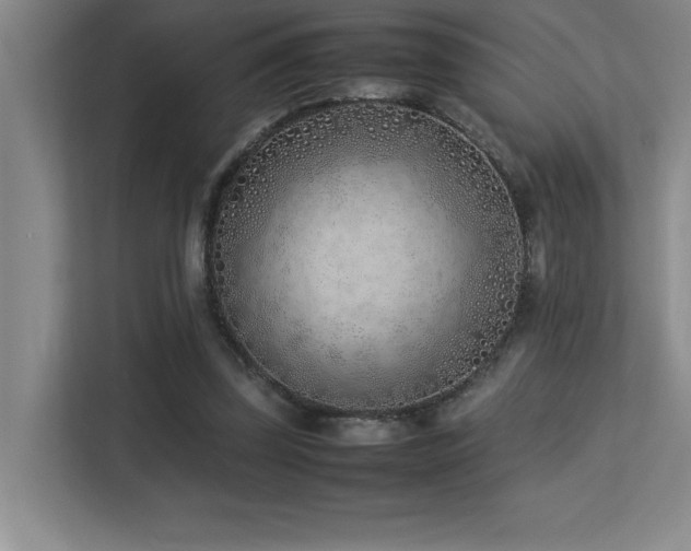 X0000113210347200909101136