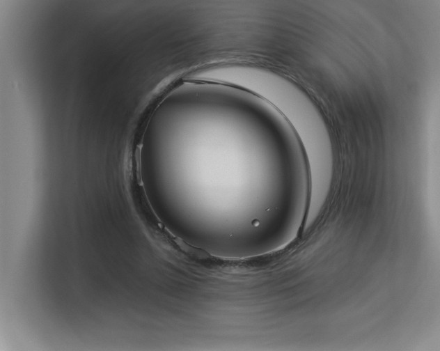 X0000113210348200909101136