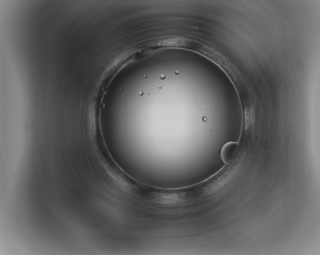 X0000113210349200909101136