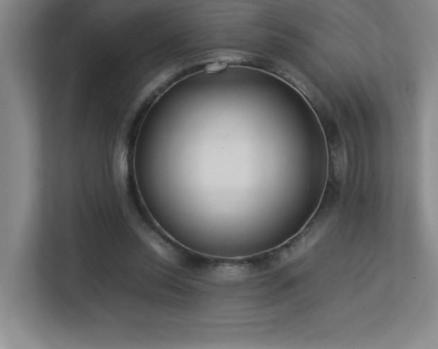 X0000113210350200909101136