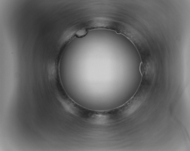 X0000113210352200909101136