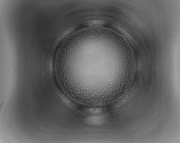 X0000113210353200909101136