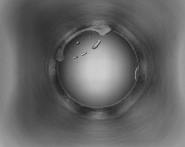 X0000113210356200909101137