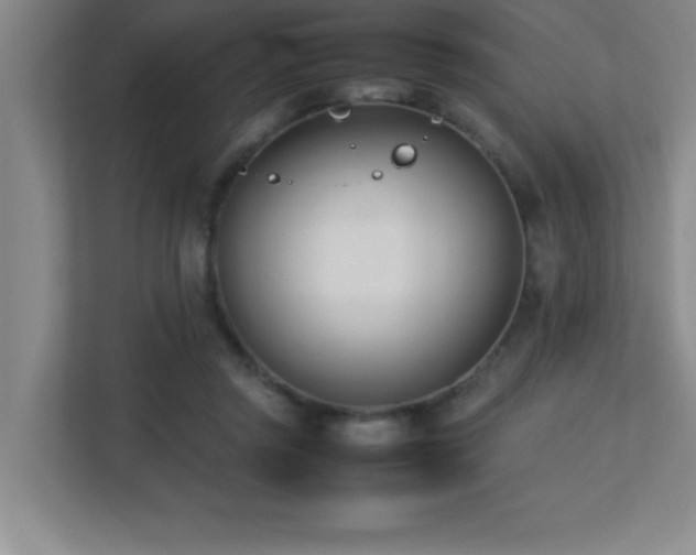 X0000113210357200909101137