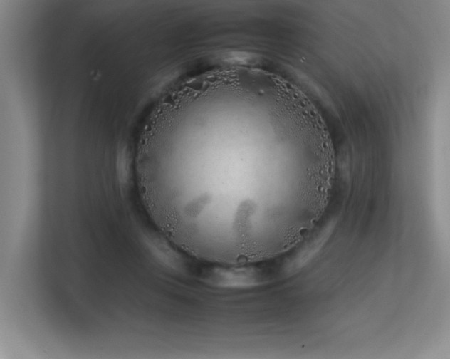 X0000113210359200909101137