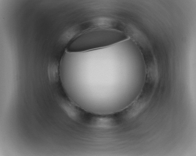 X0000113210360200909101137