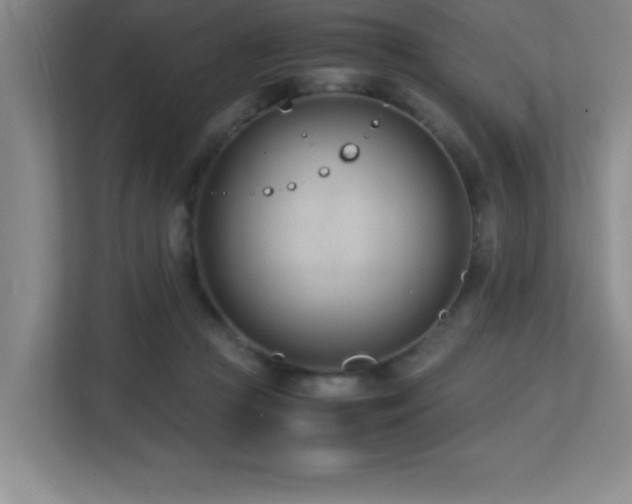 X0000113210361200909101137