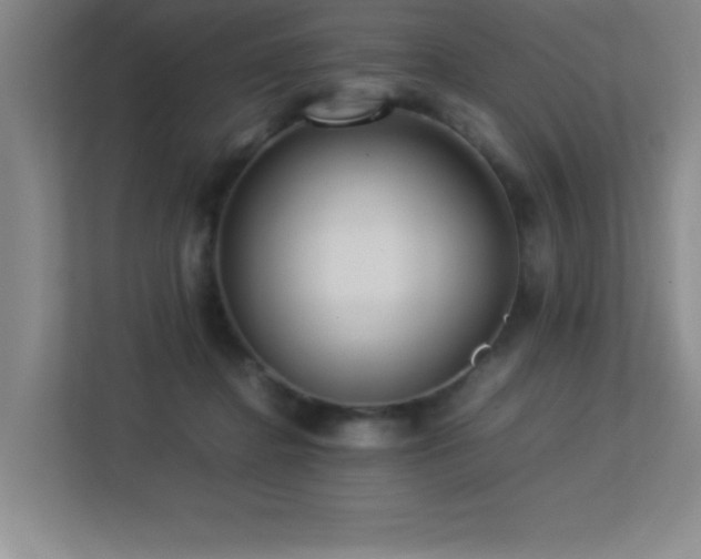 X0000113210364200909101137