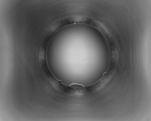 X0000113210368200909101137