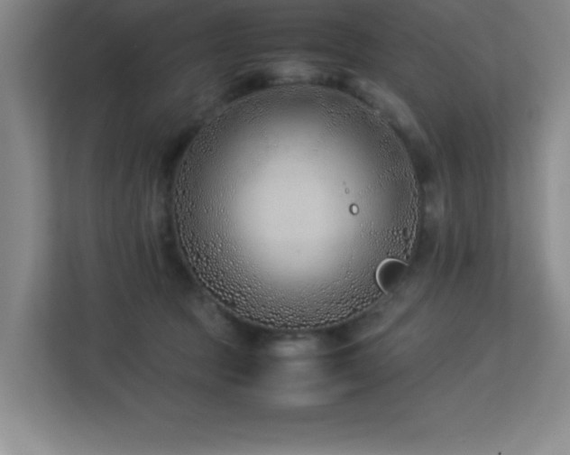 X0000113210369200909101137