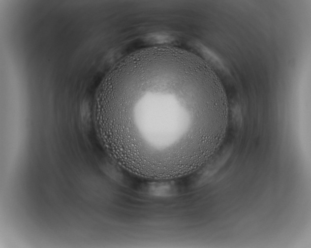 X0000113210373200909101137