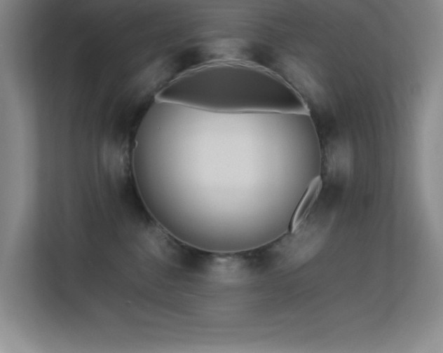 X0000113210376200909101137