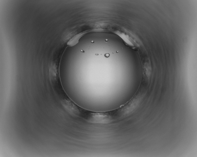 X0000113210380200909101137