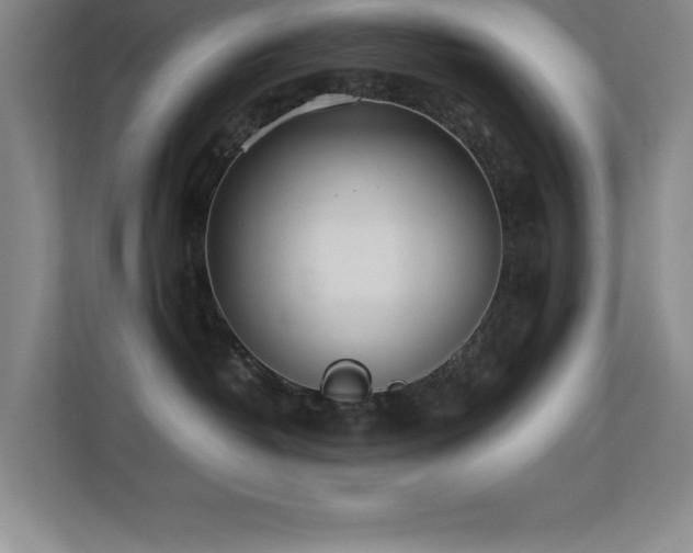 X0000113210382200909101137