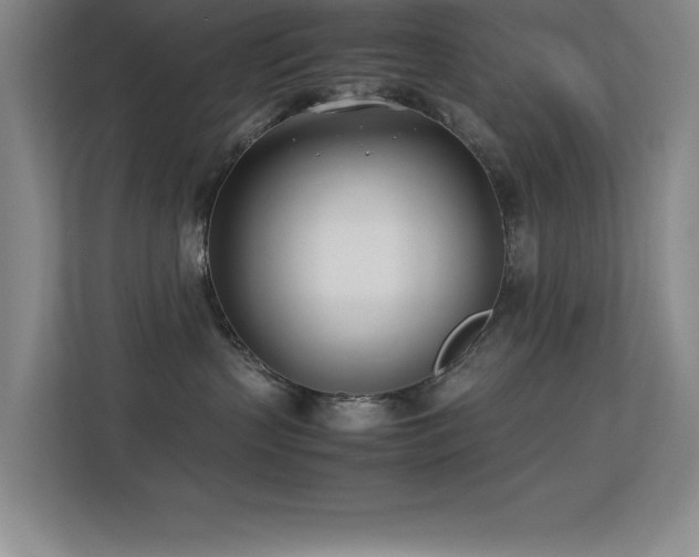 X0000113210383200909101137