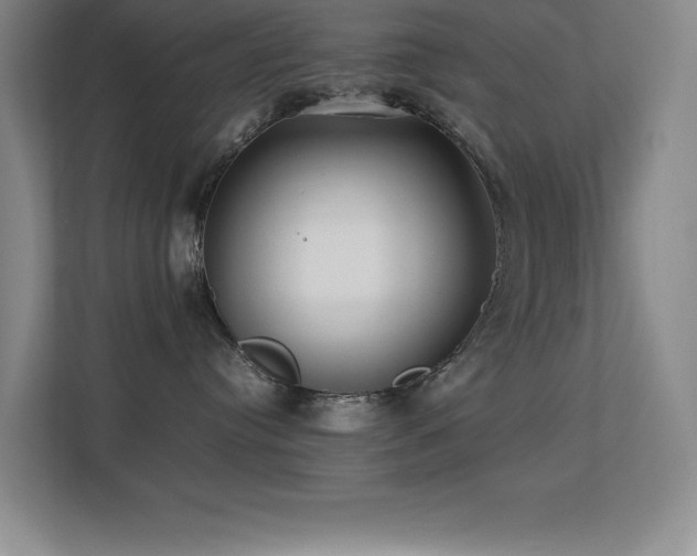 X0000113210384200909101137