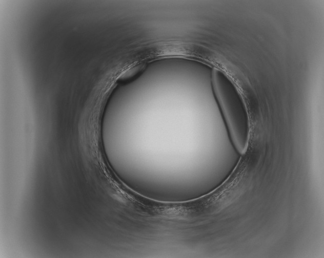 X0000113210385200909101136