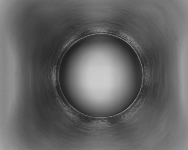 X0000113210386200909101136