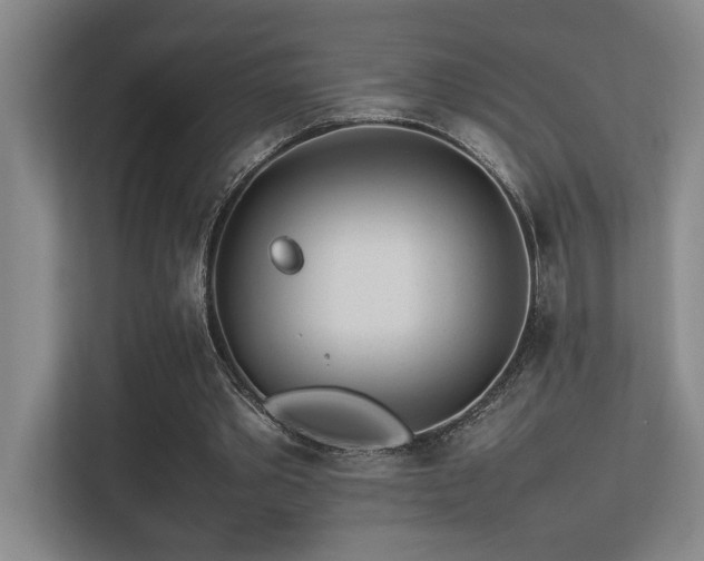 X0000113210389200909101136