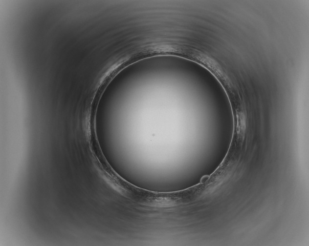 X0000113210390200909101136