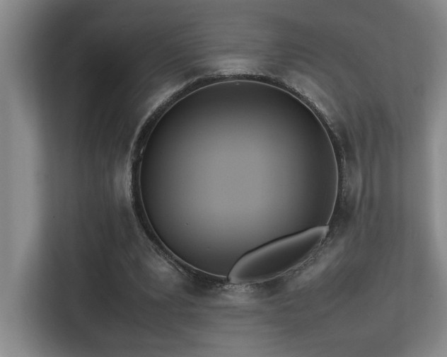 X0000113210391200909101136