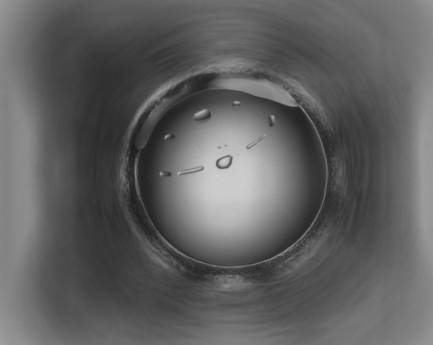 X0000113210392200909101136