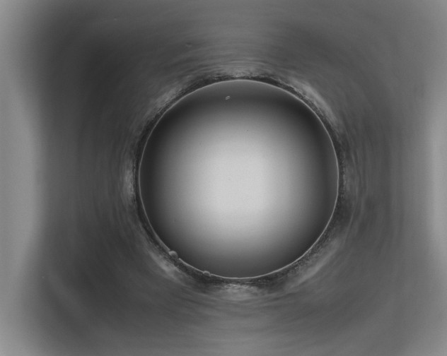 X0000113210393200909101136