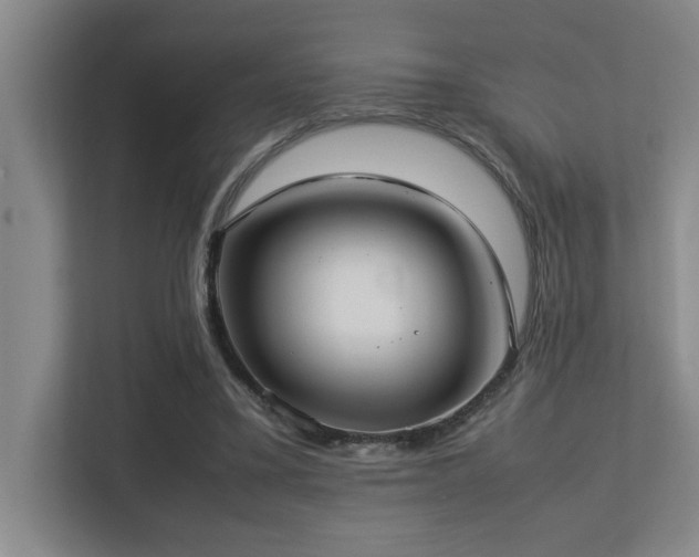 X0000113210395200909101136