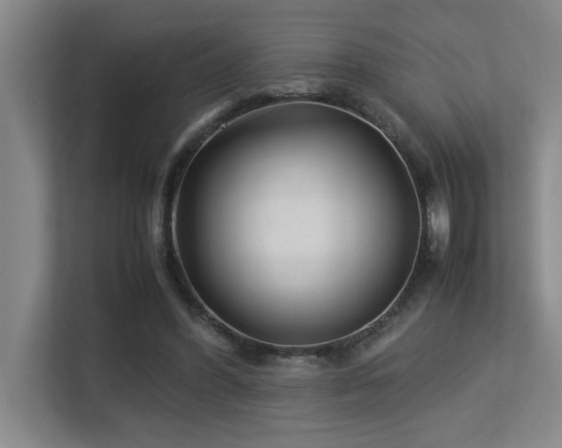 X0000113210396200909101136