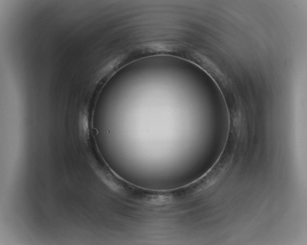 X0000113210398200909101136