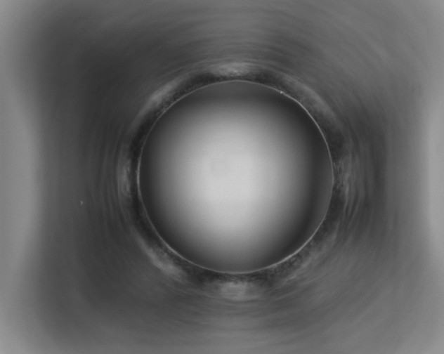 X0000113210400200909101136