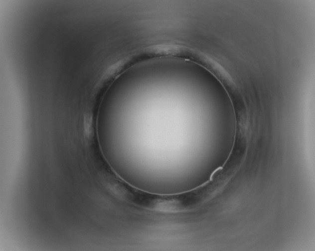 X0000113210403200909101136